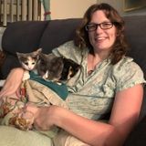Rochester Cat Sitter Interviewing For Work