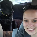 Animal lover/teacher looking to help care for your animals