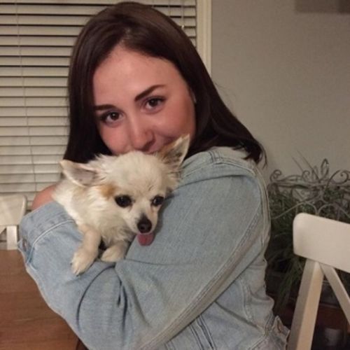 Pet Care Provider Jay P's Profile Picture