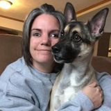 Searching for a Pet Sitting Job in Houtzdale, Pennsylvania
