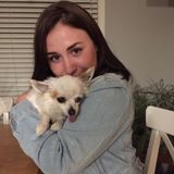 Passionate and experienced pet sitter in Calgary
