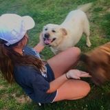 Greensboro Pet Care Provider Searching for Work in North Carolina