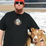Hardworking Pet lover and Provider for Hire