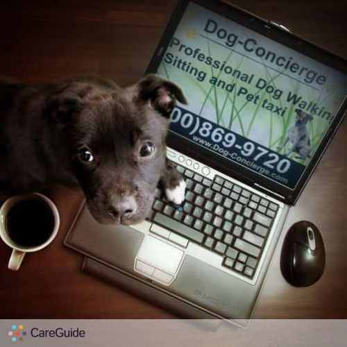 Pet Care Provider Vince O's Profile Picture