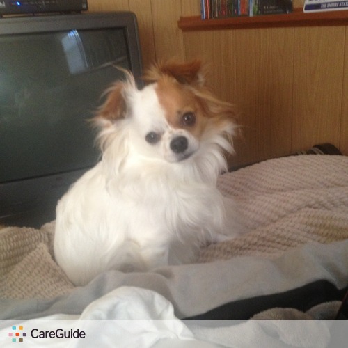 Pet Care Provider Shannon Brady's Profile Picture