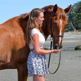 Reliable and responsible house and pet sitter