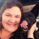 Available For a Pet Sitter Opportunity in Cornelia and surrounding areas