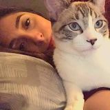 Brownsville Petsitter Interviewing For Job Opportunities