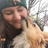 Pet Care Provider