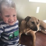 Dog sitting and overnight care in a comfortable home