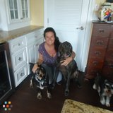 Loving/Caring Pet Sitting Daily/Overnight Care Save $20 OFF First Time Service