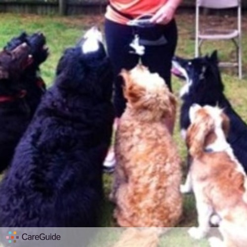 Pet Care Provider Kelly M's Profile Picture