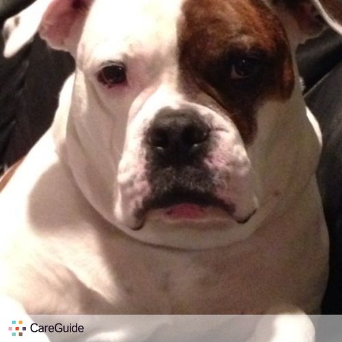 Pet Care Job Jackie Heins's Profile Picture