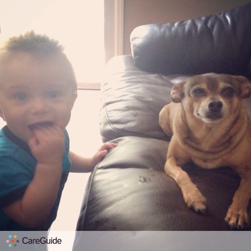 Pet Care Provider Pauline B's Profile Picture
