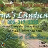 Losoya Landscaping We will beat ANY price by 20%! 100% satisfaction guarantee!
