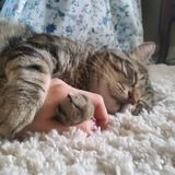 Plenty of house and pet sitting experience. Located in Okotoks with reliable transport.