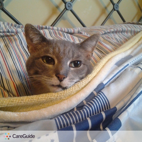 Pet Care Provider Jessica J.'s Profile Picture