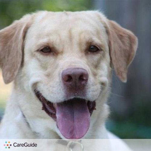 Pet Care Provider Alan W's Profile Picture