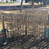 Residential Garden Design & Maintenance.