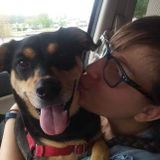 Friendly pet sitter