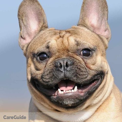 Pet Care Provider Mark S's Profile Picture