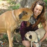 New Eco-friendly, Individualized Dog Walking Service