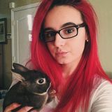 Pet Care Provider