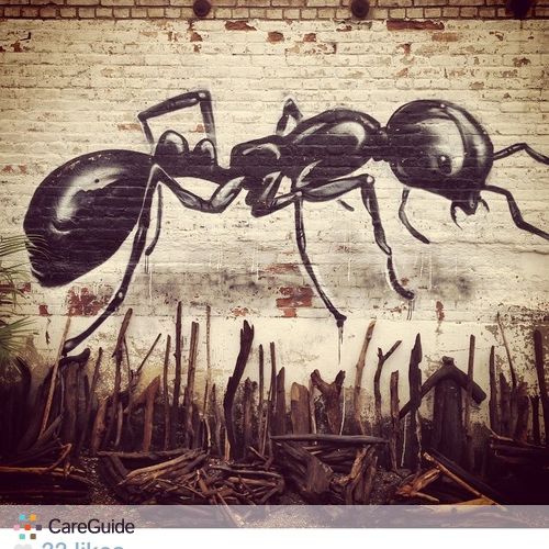 Painter Provider Anthill Collective's Profile Picture
