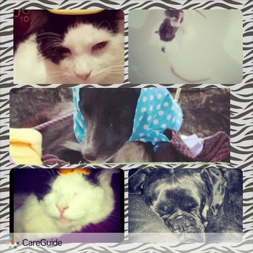 Pet Care Provider Raisa L's Profile Picture