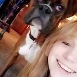 Pet Sitting/ Dog Walking Offered in Des Plaines