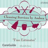 Experienced Home Cleaner