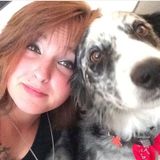 Faithful Companion's Pet Sitting