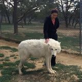 Reliable pet sitter!