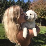 Reliable House/Pet Sitter