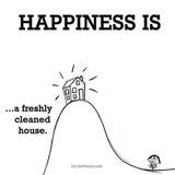 House Cleaning