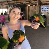 Responsible House Sitter