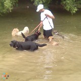 Dog Walker Oshawa