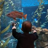 Looking for a caring and energetic nanny to support our family part-time (Avenue & Lawrence)