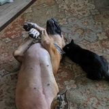 I live in fruitland park, I border the villages. I am a animal lover. Have worked in vet. Office taking care of animals.