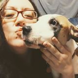 Massillon/Canton Animal Caregiver Available for job opportunities caring for your furry loved ones!