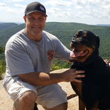Dog Walking + Pet Sitting (All sizes and breeds)