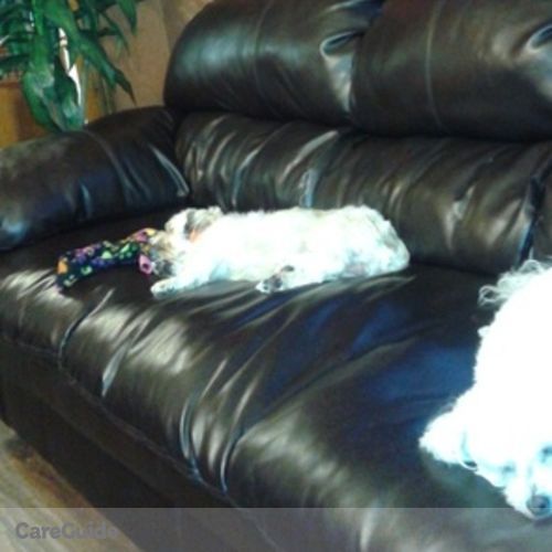 Pet Care Provider Suzette P's Profile Picture