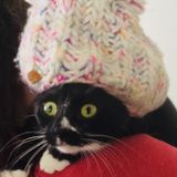 Experinced pet sitter at your service.