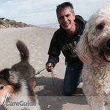 Surf Sitters Pet Care and Dog Walking. Bonded and Insured. Holly Ridge, Hampstead, Surf City, NC.