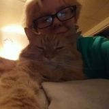 I'm a hard worker! I've taken classes about walking dogs and more. I've also had hands on experience with cats AND dogs.