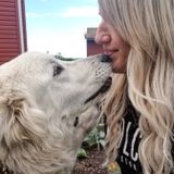 Airdrie Pet Lover Seeking to Help Families with their Pets Needs