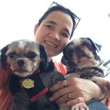 Ormond Beach Dog Sitter Searching for Being Hired