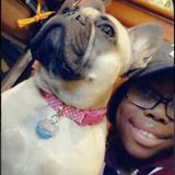 Loving Care For Your Furry Friends