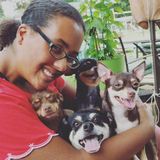 Hi , I'm Mariah and I love Dogs!