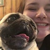Looking to help care for animals when it is needed